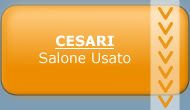 Cesari - salone usato